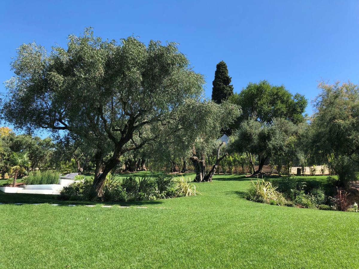 Villa Il Bacio Del Sole Verona Dış mekan fotoğraf
